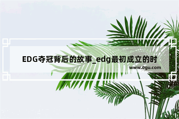 EDG夺冠背后的故事_edg最初成立的时候