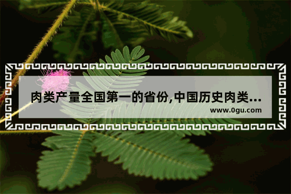 肉类产量全国第一的省份,中国历史肉类产量