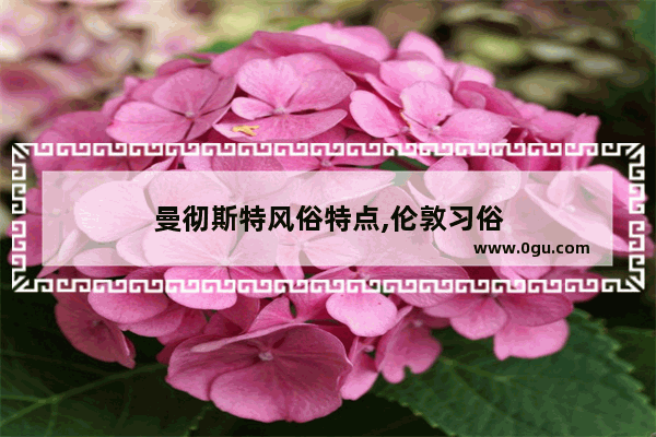 曼彻斯特风俗特点,伦敦习俗