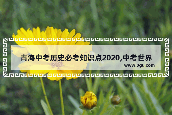 青海中考历史必考知识点2020,中考世界历史考点选择分析