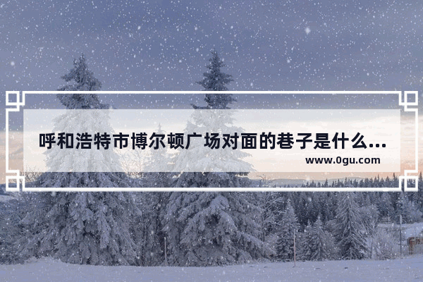 呼和浩特市博尔顿广场对面的巷子是什么名称_西宁市昆仑路33号院初中固定学区是哪里