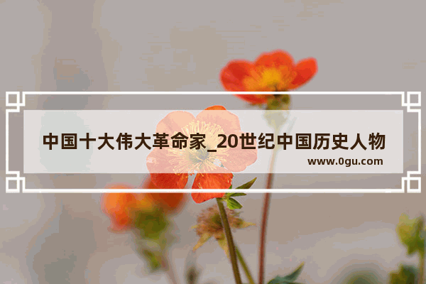 中国十大伟大革命家_20世纪中国历史人物