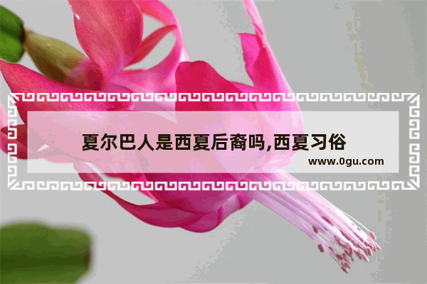 夏尔巴人是西夏后裔吗,西夏习俗