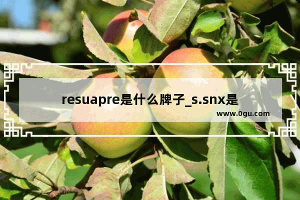 resuapre是什么牌子_s.snx是什么品牌