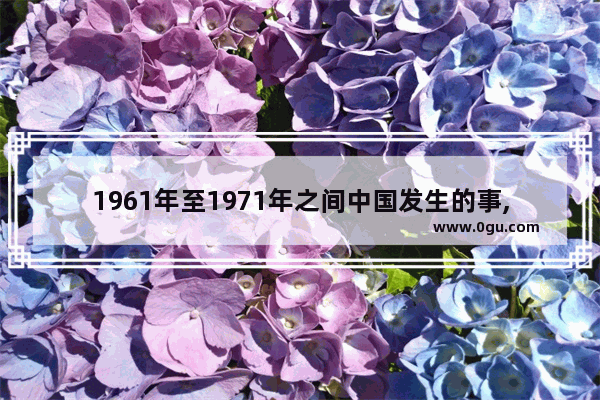 1961年至1971年之间中国发生的事,中国历史的灾难