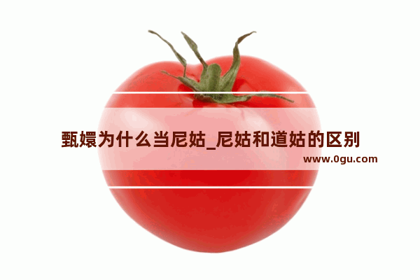 甄嬛为什么当尼姑_尼姑和道姑的区别