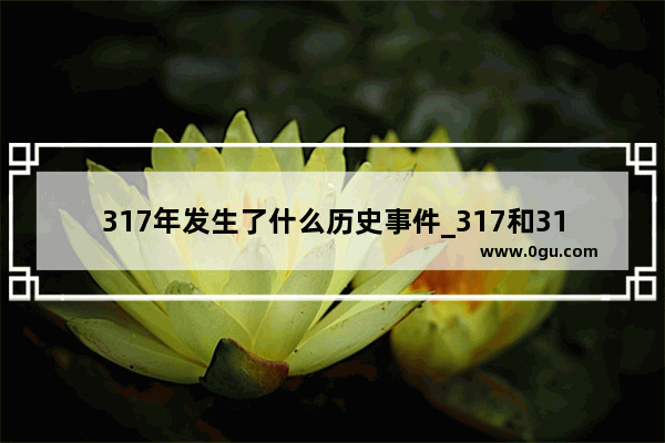 317年发生了什么历史事件_317和318区别