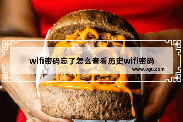 wifi密码忘了怎么查看历史wifi密码,中国历史密码免费