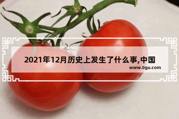 2021年12月历史上发生了什么事,中国历史科普日