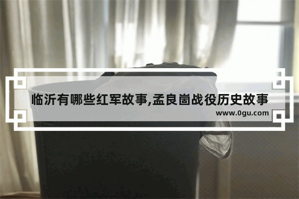 临沂有哪些红军故事,孟良崮战役历史故事