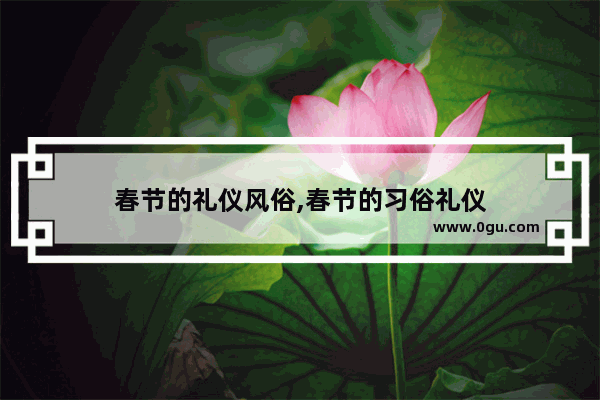 春节的礼仪风俗,春节的习俗礼仪