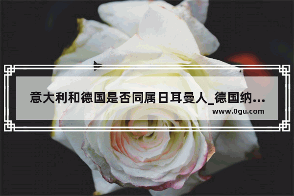 意大利和德国是否同属日耳曼人_德国纳粹主义、意大利+++主义、日本军国主义这三个有什么不同