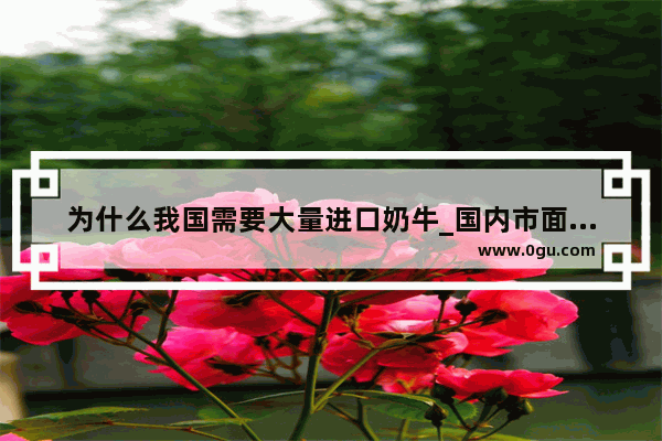 为什么我国需要大量进口奶牛_国内市面上进口奶牛冻精那些表现比较突出 价格多少急求