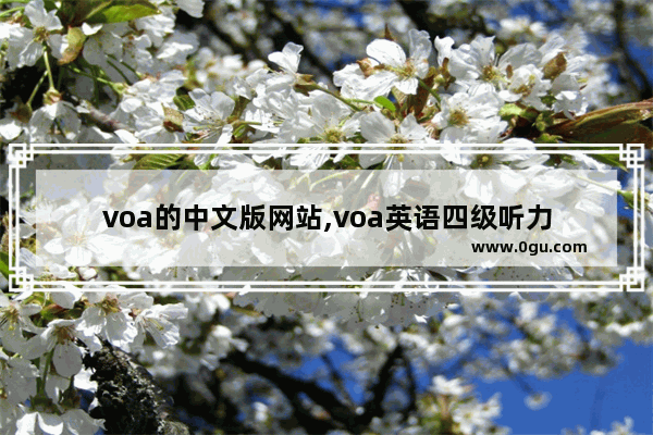 voa的中文版网站,voa英语四级听力