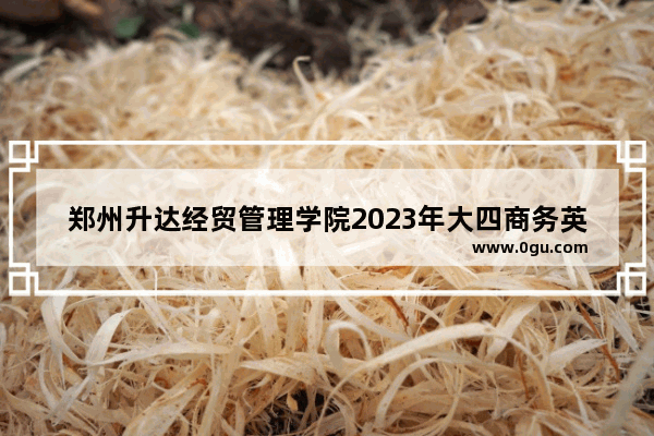 郑州升达经贸管理学院2023年大四商务英语考研考了吗,郑州经贸学校英语考试