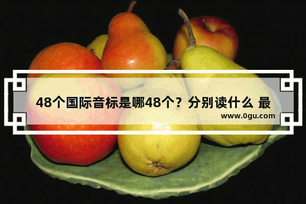 48个国际音标是哪48个？分别读什么 最新英语