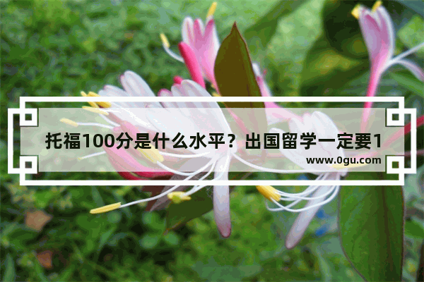 托福100分是什么水平？出国留学一定要100分吗 托福100分相当于雅思