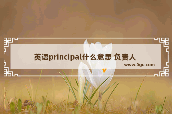 英语principal什么意思 负责人 英语怎么说