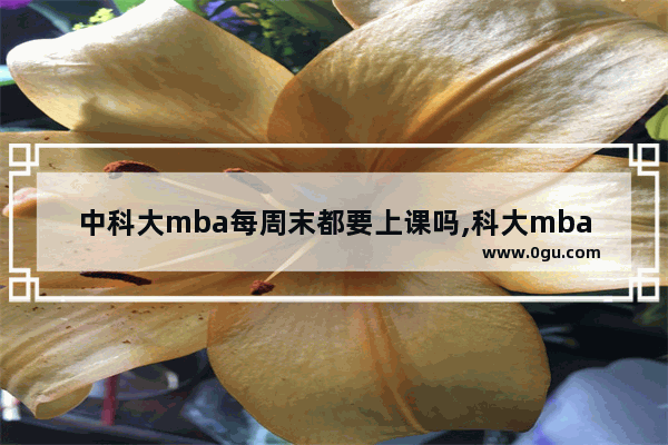 中科大mba每周末都要上课吗,科大mba 英语六级