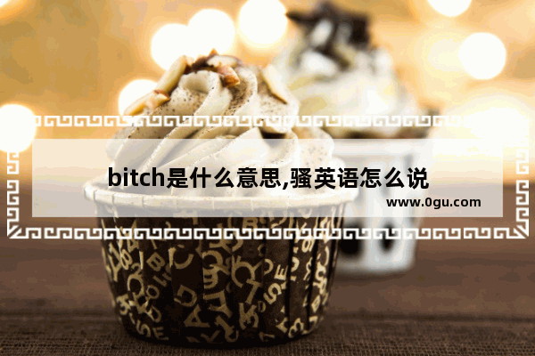 bitch是什么意思,骚英语怎么说