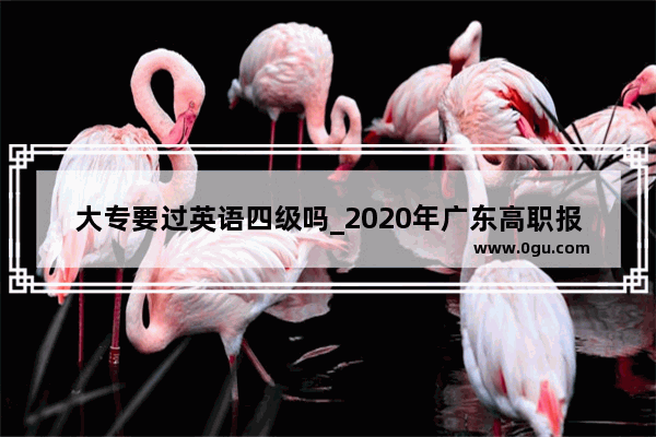 大专要过英语四级吗_2020年广东高职报考英语四级要求