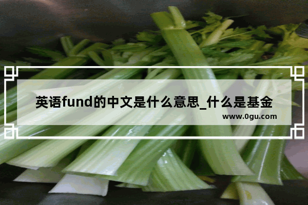 英语fund的中文是什么意思_什么是基金