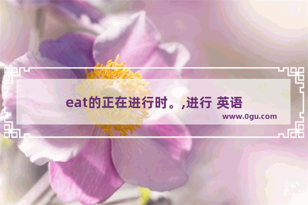 eat的正在进行时。,进行 英语