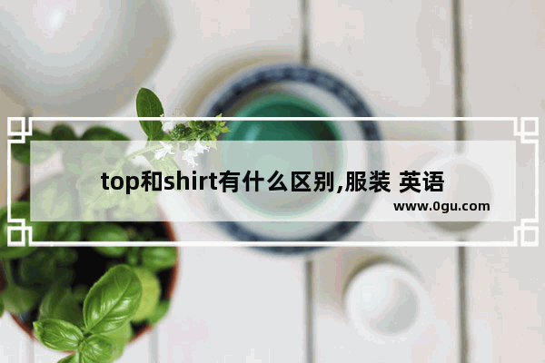 top和shirt有什么区别,服装 英语