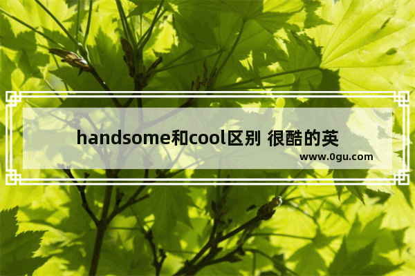 handsome和cool区别 很酷的英语口语