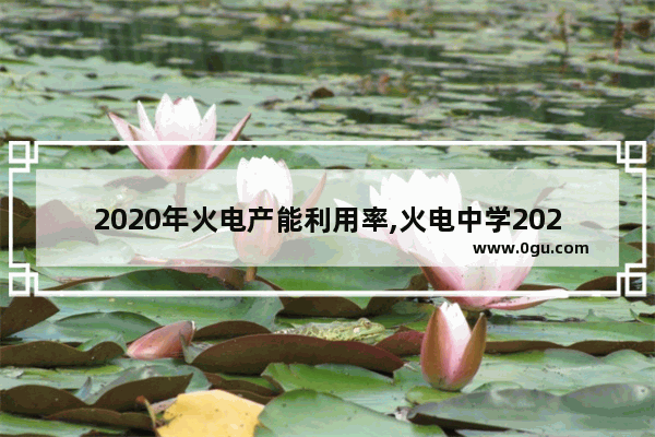 2020年火电产能利用率,火电中学2020英语考试