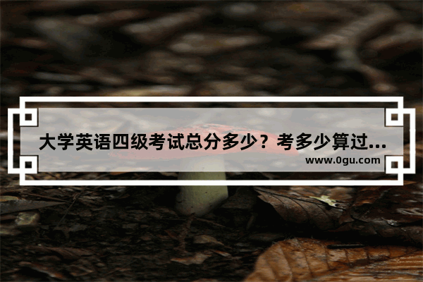 大学英语四级考试总分多少？考多少算过？有没有口语考试_四级算分是按排名吗