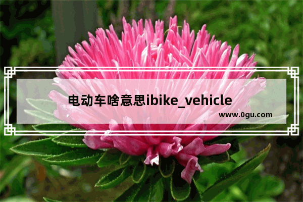 电动车啥意思ibike_vehicle 是什么品牌的电动车