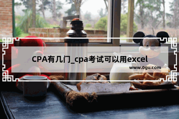 CPA有几门_cpa考试可以用excel吗