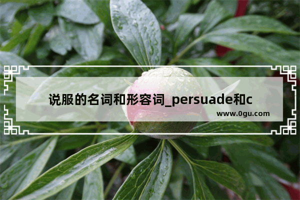 说服的名词和形容词_persuade和convince有什么区别