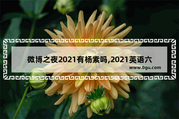 微博之夜2021有杨紫吗,2021英语六级微博