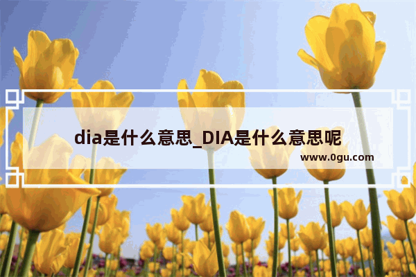 dia是什么意思_DIA是什么意思呢