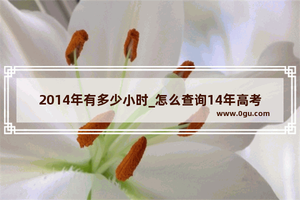 2014年有多少小时_怎么查询14年高考成绩