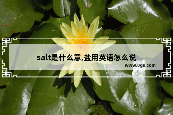 salt是什么意,盐用英语怎么说