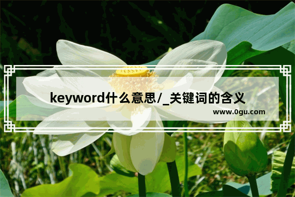 keyword什么意思/_关键词的含义