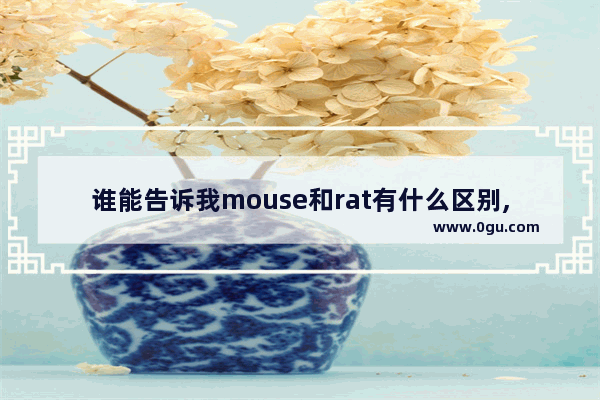 谁能告诉我mouse和rat有什么区别,老鼠英语