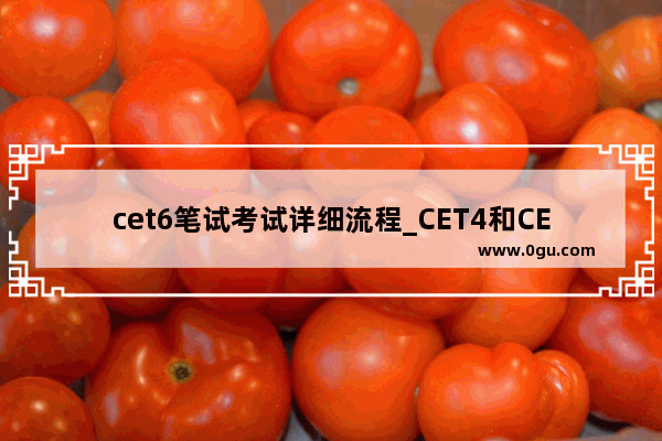 cet6笔试考试详细流程_CET4和CET6难度相差多少