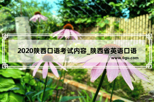 2020陕西口语考试内容_陕西省英语口语考试多少分合格