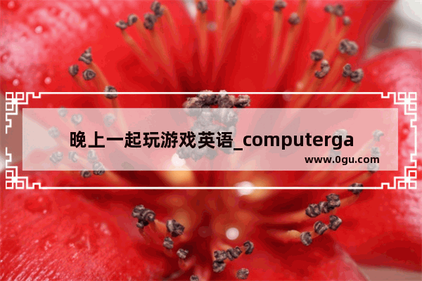 晚上一起玩游戏英语_computergames用单数还是复数