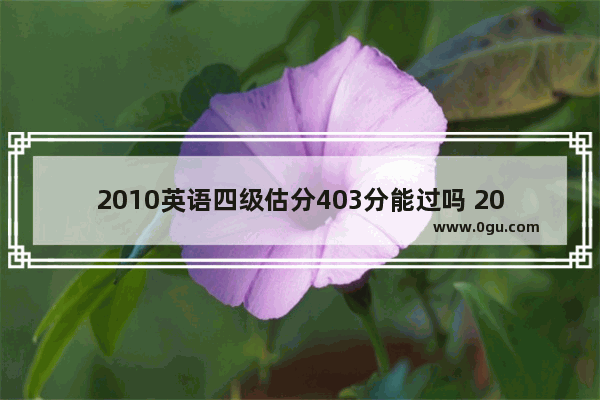 2010英语四级估分403分能过吗 2010 英语四级