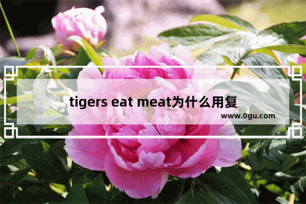 tigers eat meat为什么用复数形式_我喜欢吃肉,牛奶,苹果,香蕉用英语怎么写一