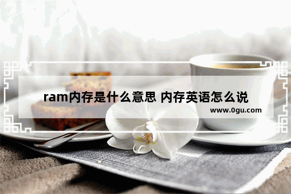 ram内存是什么意思 内存英语怎么说