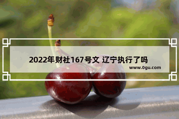 2022年财社167号文 辽宁执行了吗 辽宁2022英语六级延期