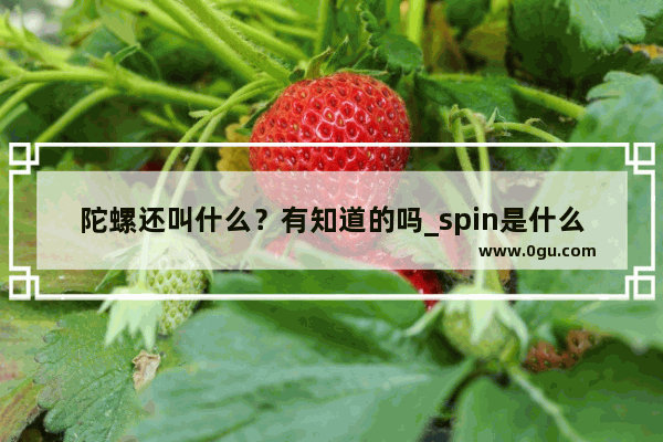 陀螺还叫什么？有知道的吗_spin是什么意思呢