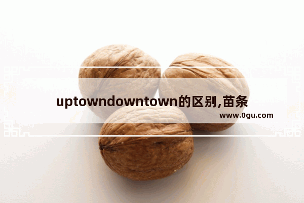 uptowndowntown的区别,苗条英语怎么说