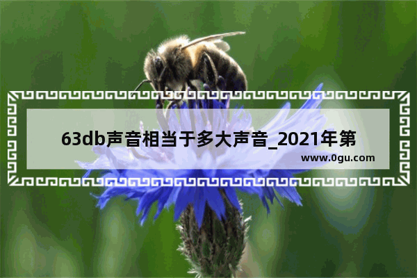 63db声音相当于多大声音_2021年第63届国际聋人节